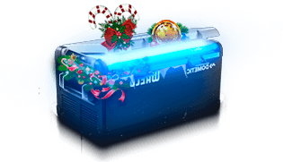 Новогодний кейс